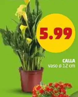 PENNY Calla vaso ø12 cm offerta