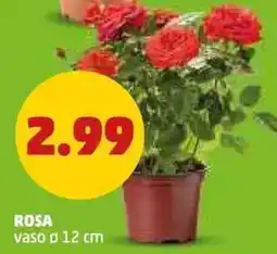 PENNY Rosa vaso ø12 cm offerta