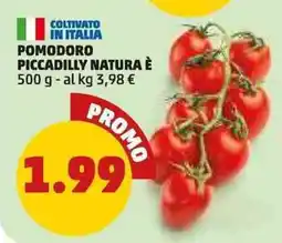 PENNY Pomodoro piccadilly NATURA È offerta