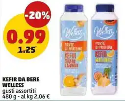 PENNY Kefir da bere WELLESS offerta