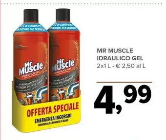 Todis Idraulico gel 1000 ml offerta