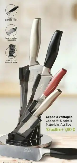 Todis Ceppo a ventaglio offerta