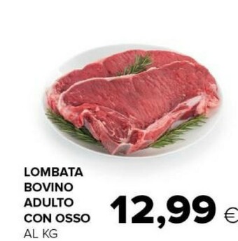 Tigre Lombata bovino adulto con osso offerta