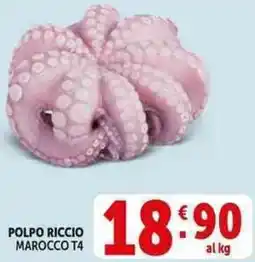 Deco Supermercati Polpo riccio marocco t4 offerta
