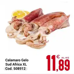 Centro Cash Calamaro Gelo Sud Africa XL offerta