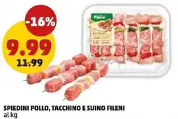 PENNY Spiedini pollo, tacchino e suino FILENI offerta