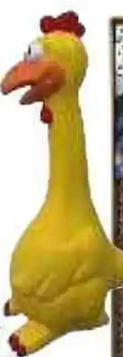 PENNY Gioco gallina con suono offerta