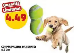 PENNY Coppia palline da tennis offerta