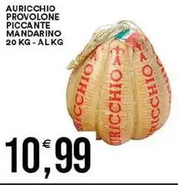 Vantaggio Cash&Carry Auricchio provolone piccante mandarino offerta