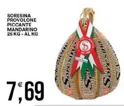 Vantaggio Cash&Carry Soresina provolone piccante mandarino offerta