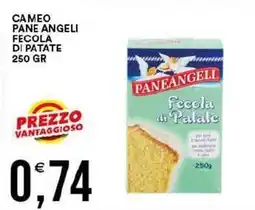 Vantaggio Cash&Carry Cameo pane angeli fecola di patate offerta