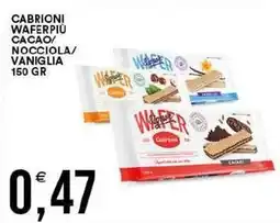 Vantaggio Cash&Carry Cabrioni waferpiù cacao/ nocciola/ vaniglia offerta