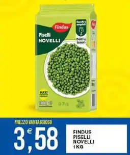 Vantaggio Cash&Carry Findus piselli novelli offerta