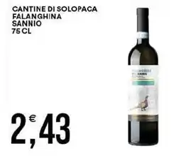 Vantaggio Cash&Carry Cantine di solopaca falanghina sannio offerta