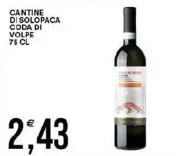 Vantaggio Cash&Carry Cantine di solopaca coda di volpe offerta