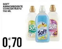 Vantaggio Cash&Carry Soft ammorbidente concentrato offerta
