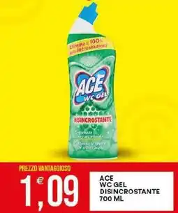 Vantaggio Cash&Carry Ace wc gel disincrostante offerta