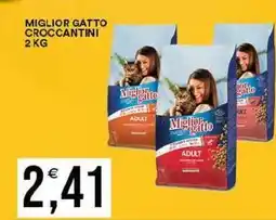 Vantaggio Cash&Carry Miglior gatto croccantini offerta