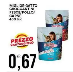 Vantaggio Cash&Carry Miglior gatto croccantini pesce/pollo/ carne offerta