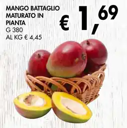 èccoMI Mango battaglio maturato in pianta offerta