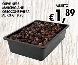 èccoMI Olive nere marchigiane ortoconseviera offerta