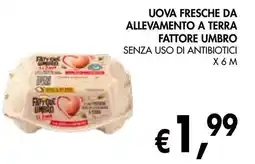 èccoMI Uova fresche da allevamento a terra fattore umbro senza uso di antibiotici offerta