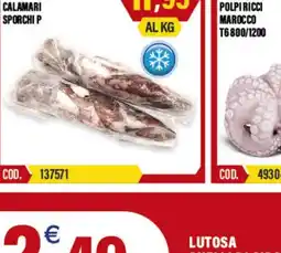Adhoc Calamari sporchi p offerta