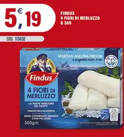 Adhoc Findus 4 fiori di merluzzo offerta