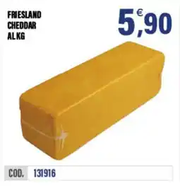 Adhoc Friesland cheddar offerta