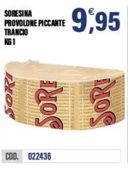 Adhoc Soresina provolone piccante trancio offerta