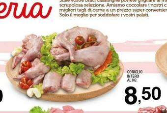Sigma Coniglio offerta