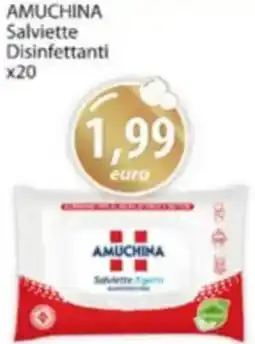 Acqua & Sapone AMUCHINA Salviette Disinfettanti offerta