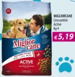 Acqua & Sapone MIGLIORCANE Croccantini Active offerta