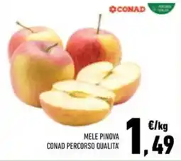 Conad Superstore Mele pinova conad percorso qualita offerta