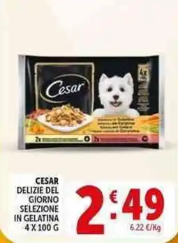 Deco Supermercati Cesar delizie del giorno selezione in gelatina offerta