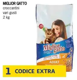 Deco Supermercati MIGLIOR GATTO croccantini offerta