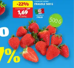 ALDI Fragole offerta