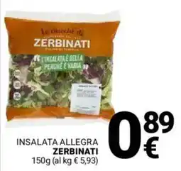 Supermercati Gulliver Insalata allegra ZERBINATI offerta