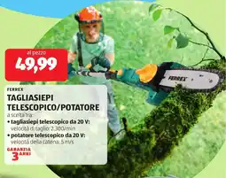 ALDI FERREX TAGLIASIEPI TELESCOPICO/POTATORE offerta
