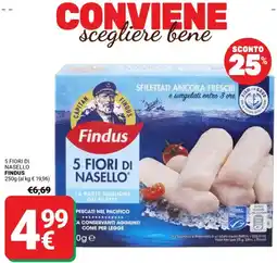 Supermercati Gulliver 5 fiori di nasello FINDUS offerta