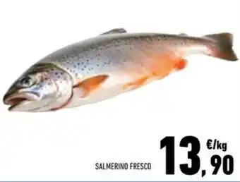 Conad Superstore Salmerino fresco offerta