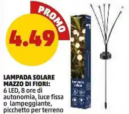 PENNY Lampada solare mazzo di fiori offerta