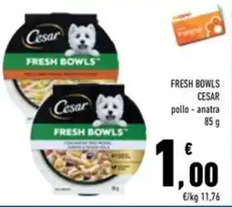 Conad Superstore Fresh bowls cesar offerta