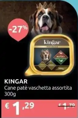 Ipersoap KINGAR Cane patè vaschetta offerta