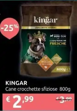 Ipersoap KINGAR Cane crocchette sfiziose offerta