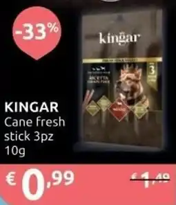 Ipersoap KINGAR Cane fresh stick offerta