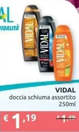 Ipersoap VIDAL doccia schiuma offerta