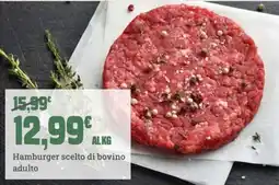 Banco Fresco Hamburger scelto di bovino adulto offerta