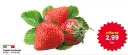 Interspar Fragole Candonga offerta