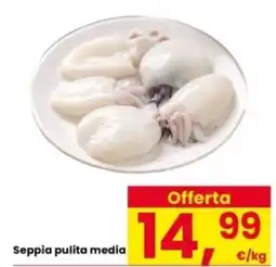 Interspar Seppia pulita media offerta